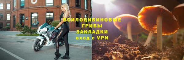 2c-b Михайловка