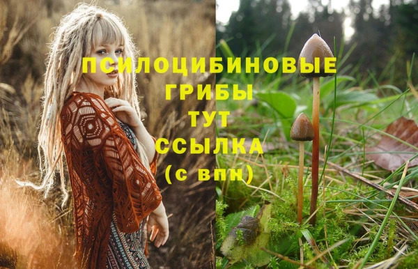 мескалин Михайловск