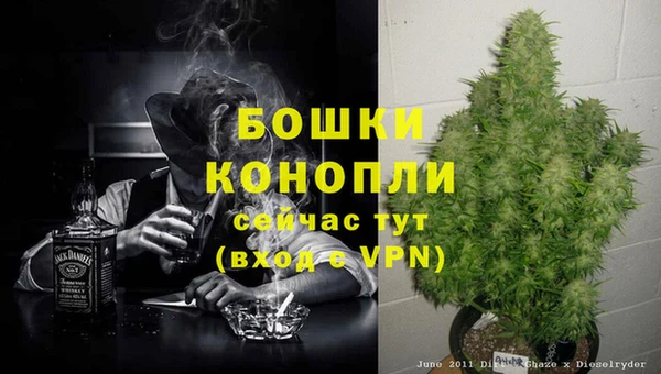 ПСИЛОЦИБИНОВЫЕ ГРИБЫ Михайлов