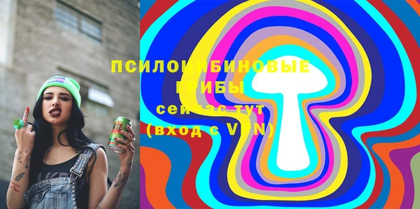 ПСИЛОЦИБИНОВЫЕ ГРИБЫ Михайлов