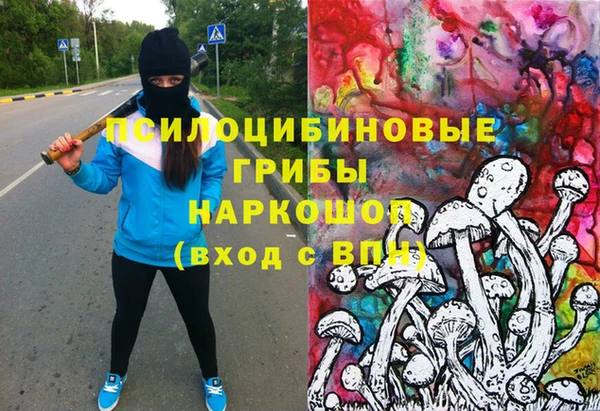 ПСИЛОЦИБИНОВЫЕ ГРИБЫ Михайлов
