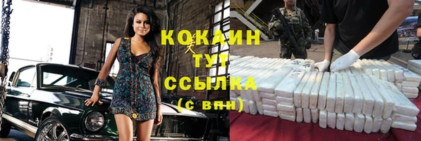 ПСИЛОЦИБИНОВЫЕ ГРИБЫ Михайлов