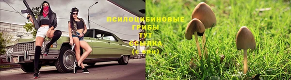 2c-b Михайловка