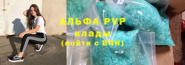 ПСИЛОЦИБИНОВЫЕ ГРИБЫ Михайлов