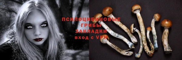 ПСИЛОЦИБИНОВЫЕ ГРИБЫ Михайлов